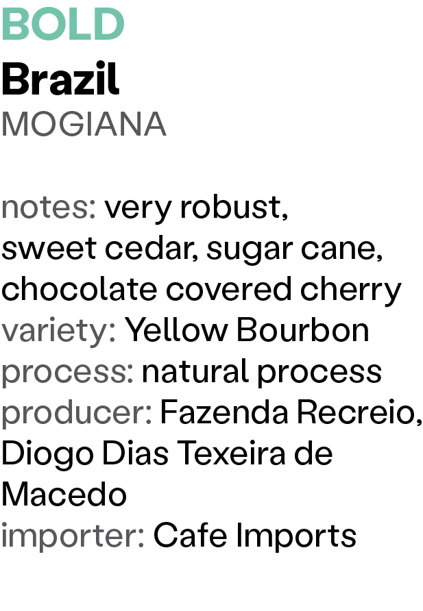 SK Coffee Bold Info